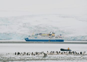 Warum Antarktis-Guides ihren Traumjob aus Gewissensgründen aufgeben