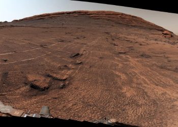 Curiosity entdeckt riesiges Feld aus Wabenmustern auf dem Mars