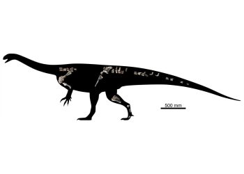 Neuer 210 Millionen Jahre alter Dinosaurier in Simbabwe entdeckt