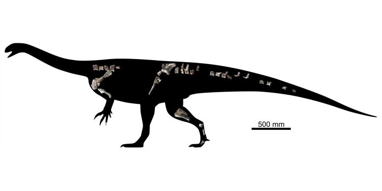 Neuer 210 Millionen Jahre alter Dinosaurier in Simbabwe entdeckt